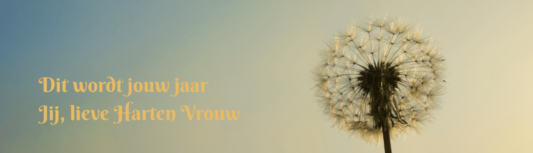 Klaar met pleasen Tijd om echt thuis te komen. (3)